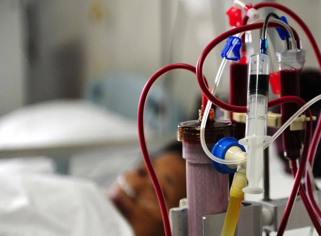 同时要求企业在"3 n联盟血液透析类医用耗材带量联动"栏目内,完成产品