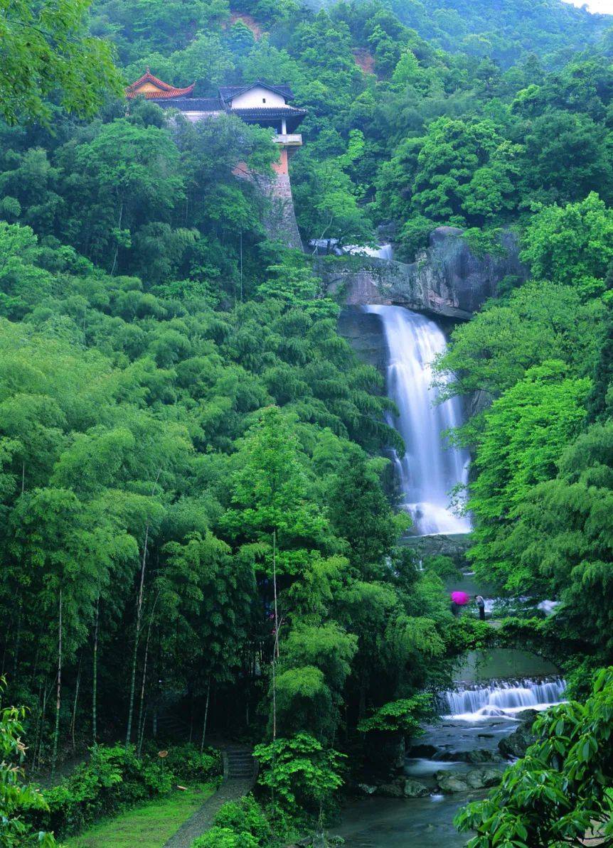 端午游玩攻略丨"粽"夏之时,天台有约