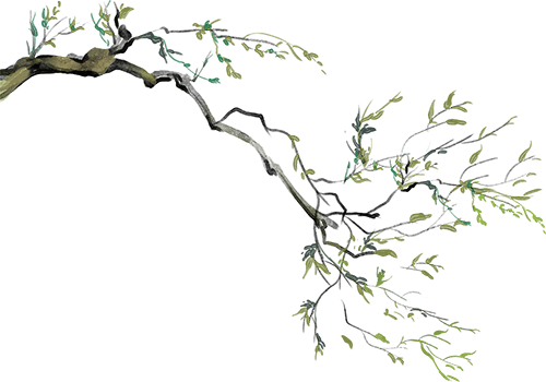 本市启动2024年社会化管理退休人员"京颐活动月" 500