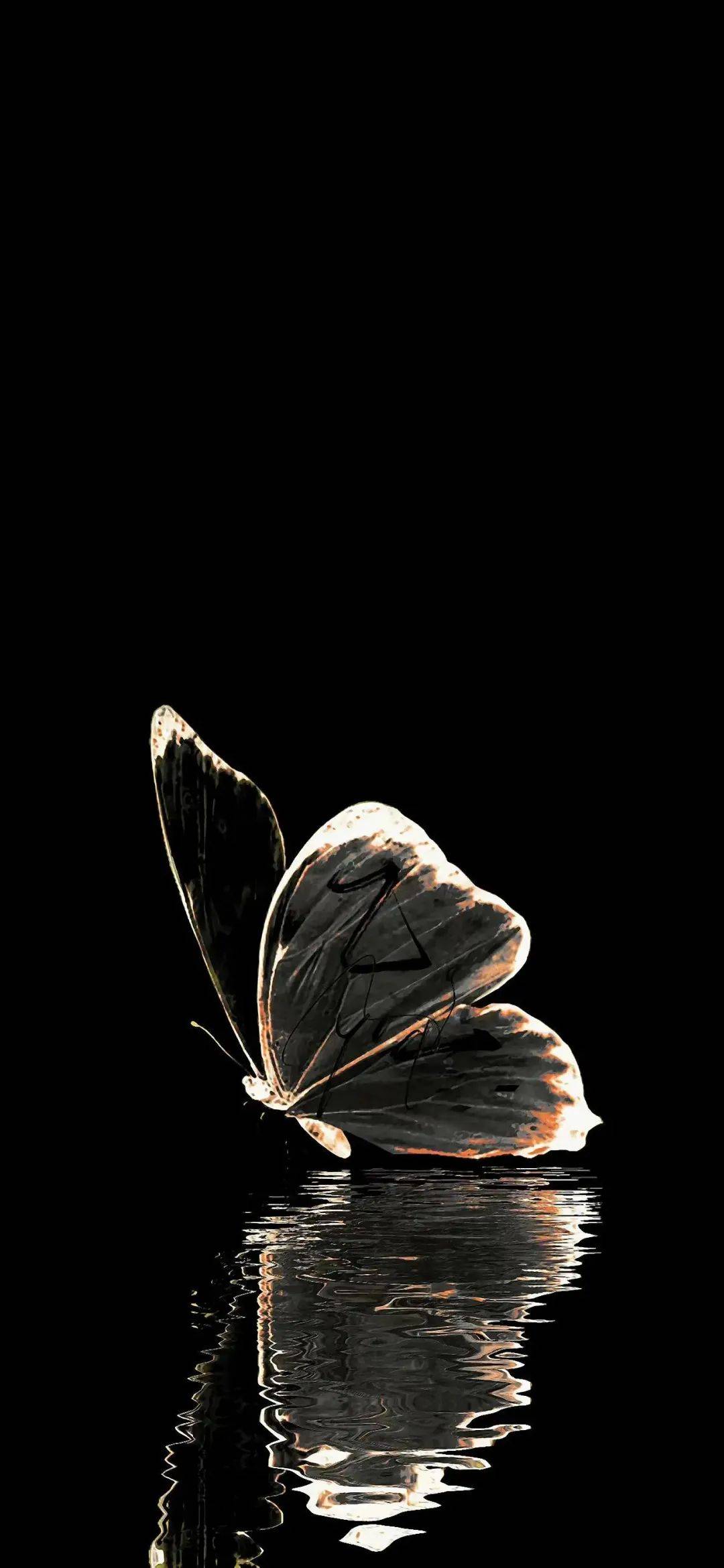 专题 | 高级ins黑色系氛围感壁纸