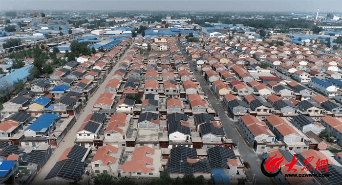 书记镇长带你看菏泽|曹县庄寨镇:林木产业剑指千亿