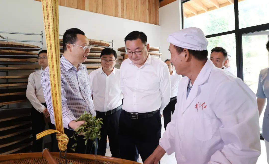 罗文江在永新县调研文旅高质量建设高水平运营攻坚战工作