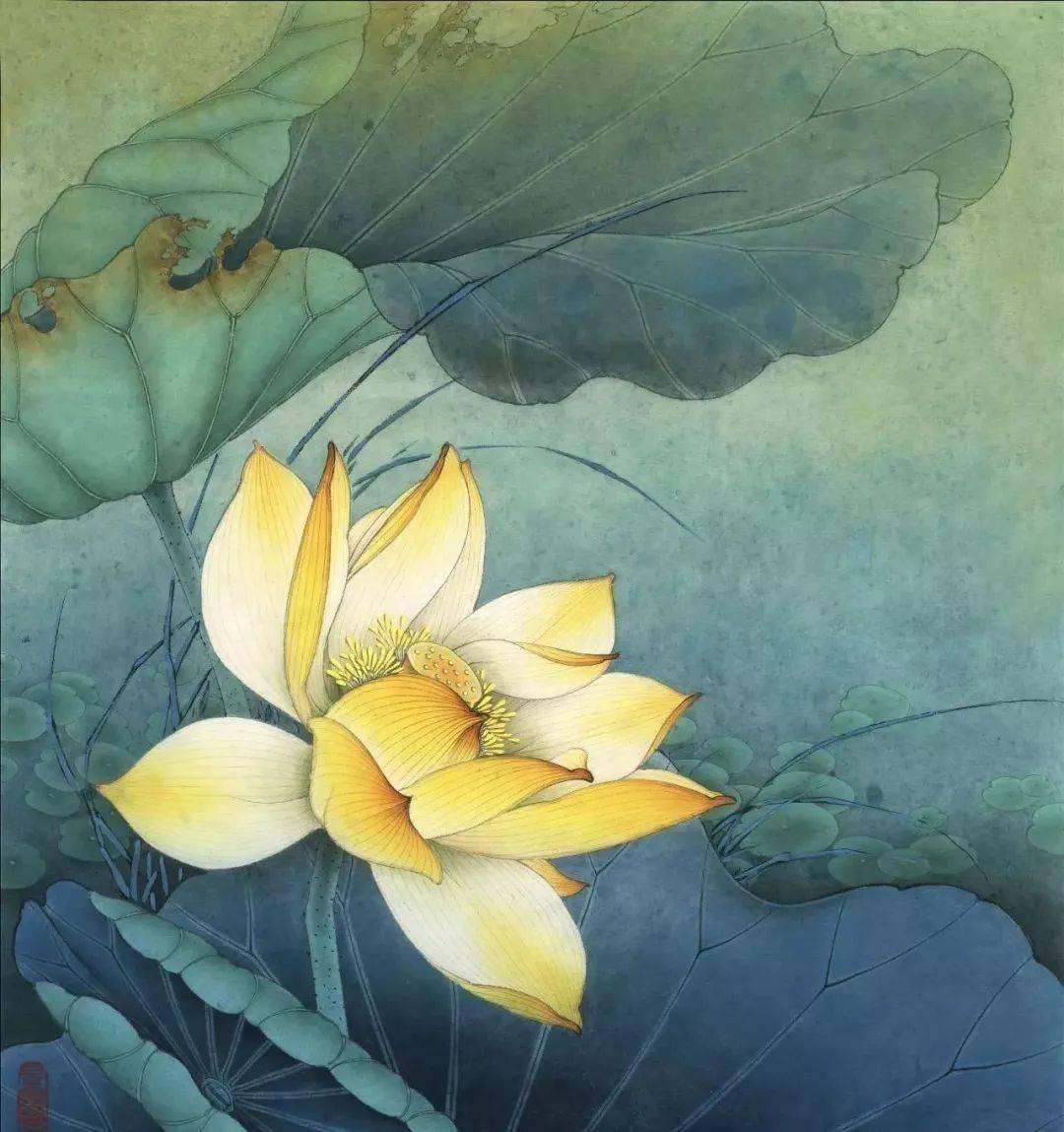 珍藏版,工笔"五色荷" 的绘画步骤详解!