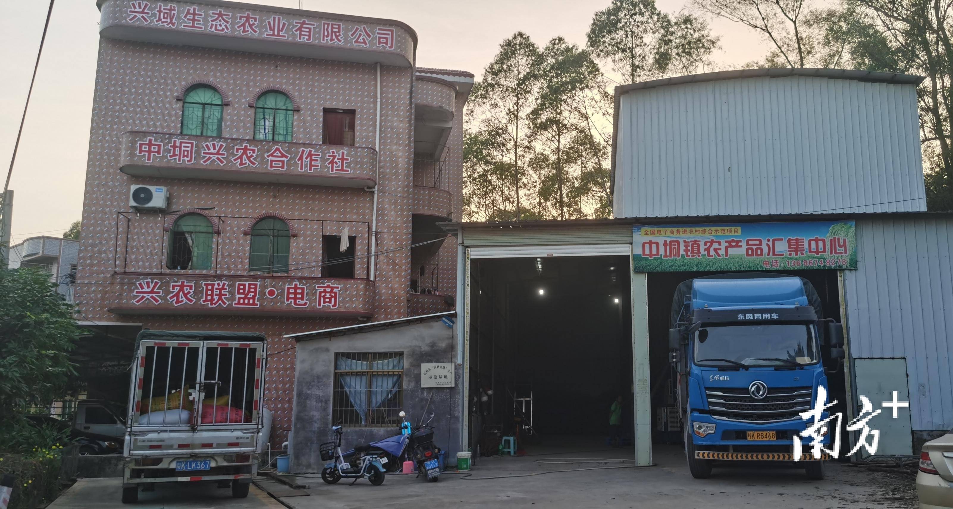 乡贤返乡变电商达人,把山沟沟的荔枝卖到长三角|新农人 兴农记③