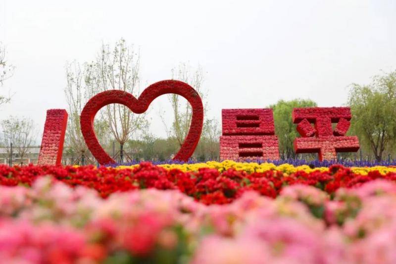 昌平新城滨河森林公园完成灾后重建明日开园 更名白浮泉公园