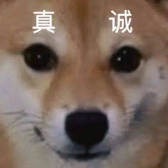 考生在华罗庚雕塑前摆水果塞试卷,网友:这就是"零食抱佛脚"吗?