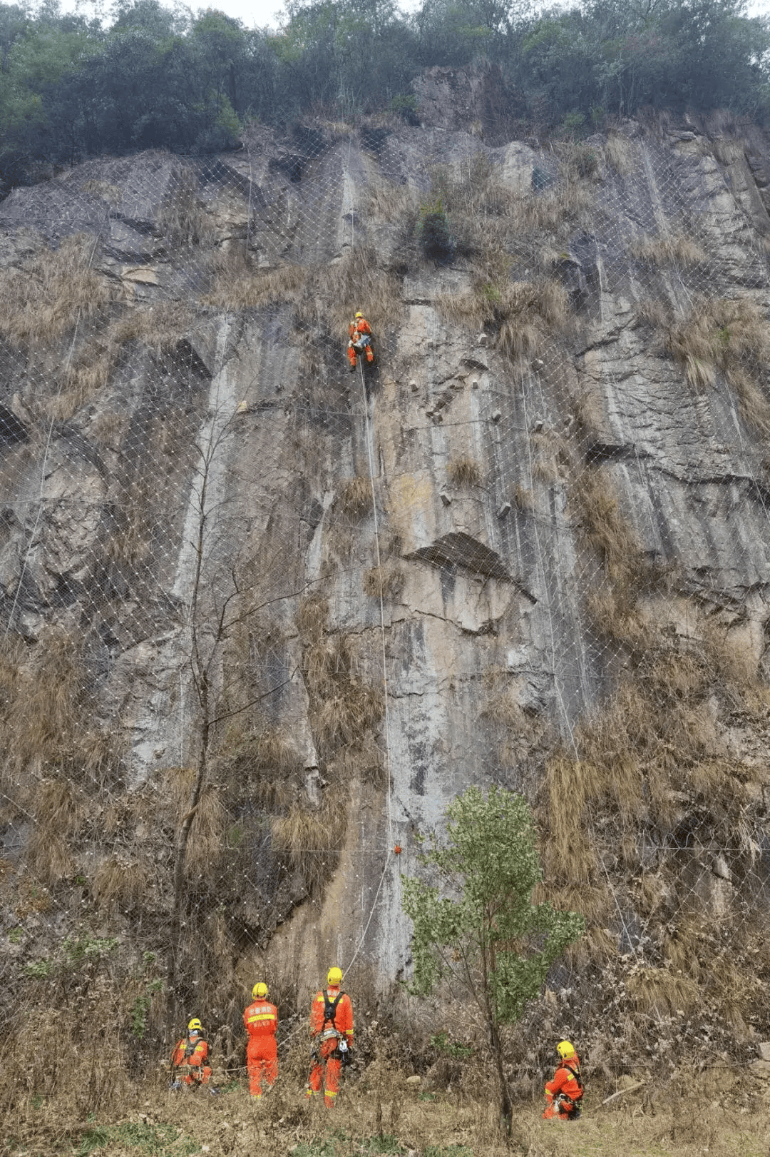 【大黄山365】黄山:"意外来客"的暖心故事,人与自然的和谐赞歌