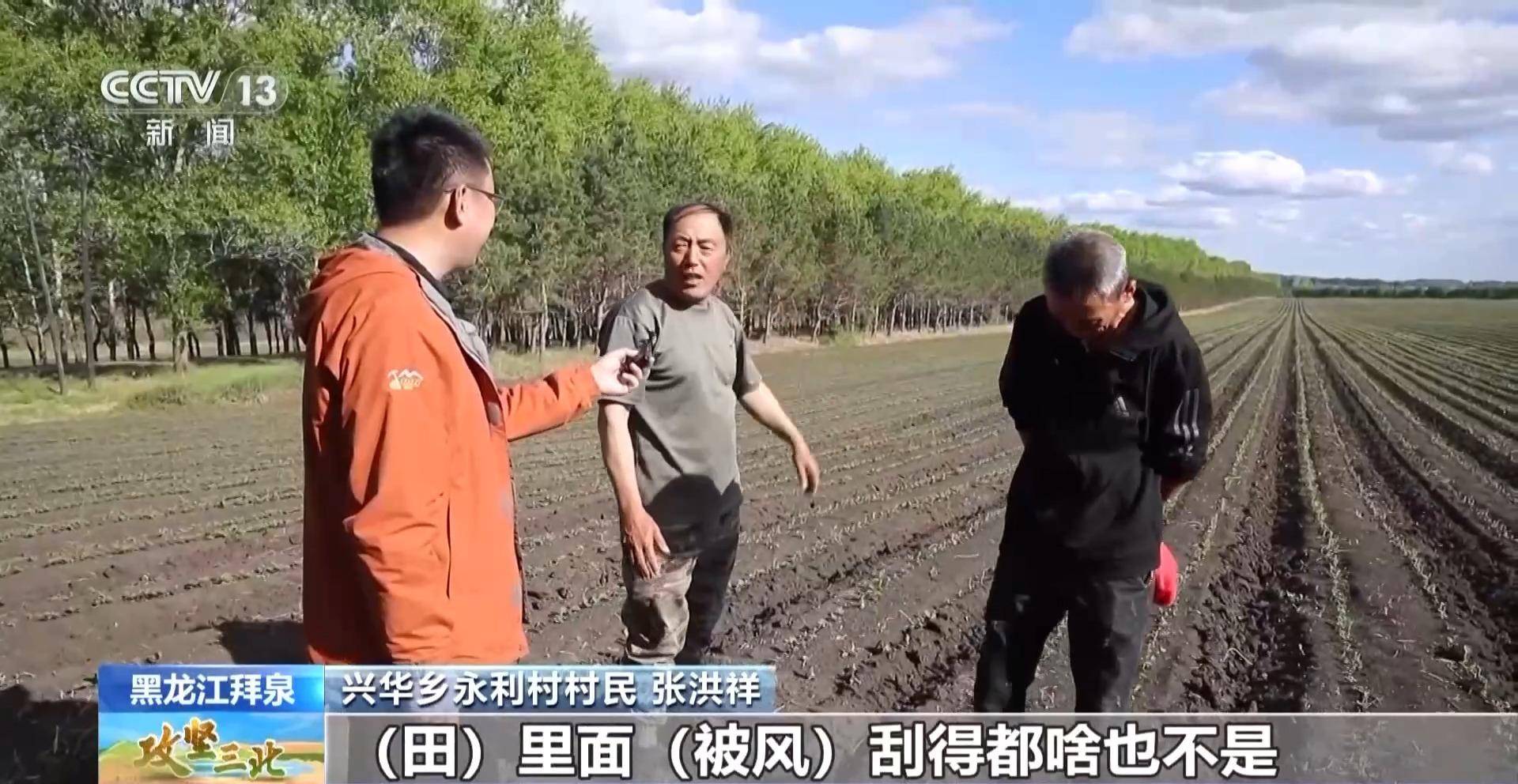 从风沙漫天到绿树成荫 拜泉人是如何迎难而上改造家园的