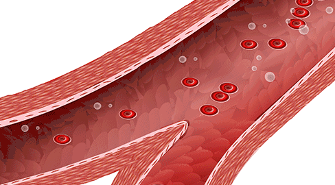 488_270gif 动态图 动图