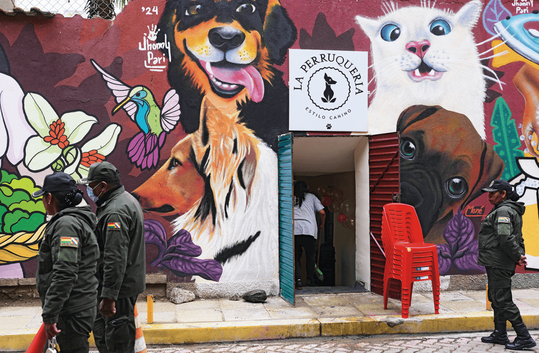 2024年2月6日,玻利维亚拉巴斯一所女子监狱,罪犯们开设了宠物沙龙