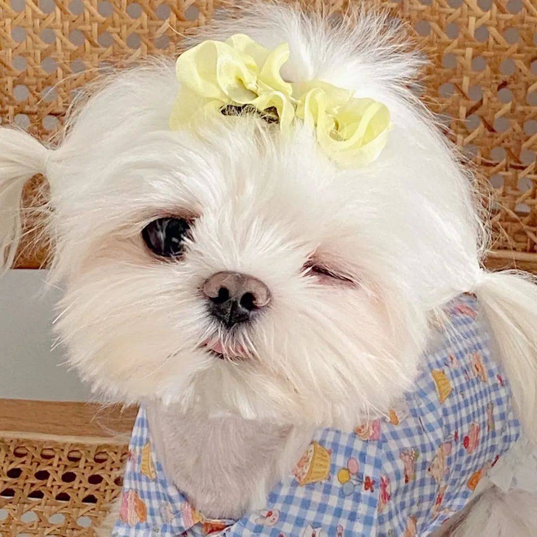 头像 | 微信头像用对了,运气差不了