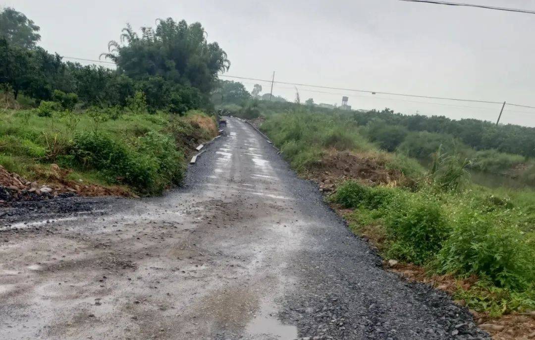 大乐镇:修好产业路 助力乡村振兴_活动_象州县_岭南村