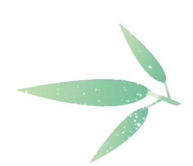 "粽叶飘香迎端午 幸福和谐共建情" 福州市审计局开展