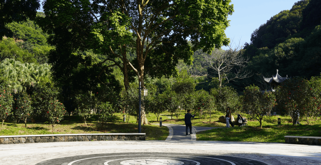 在增城试过了,"公园20分钟效应"是真的!