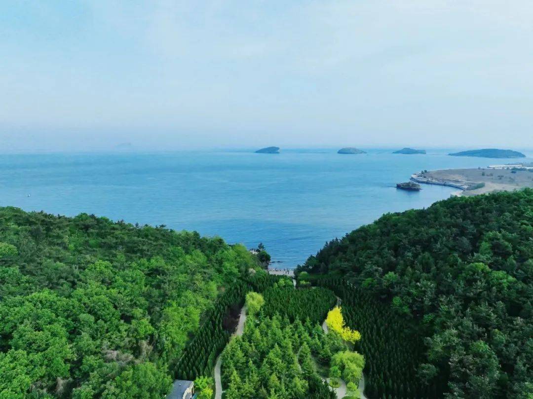 美丽海湾系列⑥丨七贤岭森林公园:在通往大海的阶梯上,邂逅温暖时光