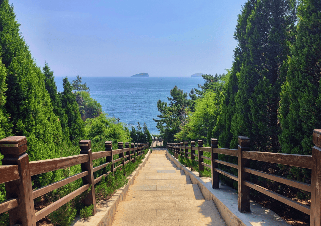 美丽海湾系列⑥丨七贤岭森林公园:在通往大海的阶梯上,邂逅温暖时光
