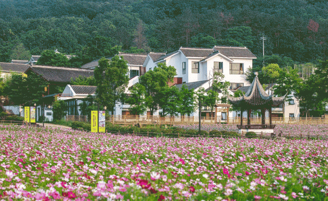端午假期,南京这些地方火热出圈