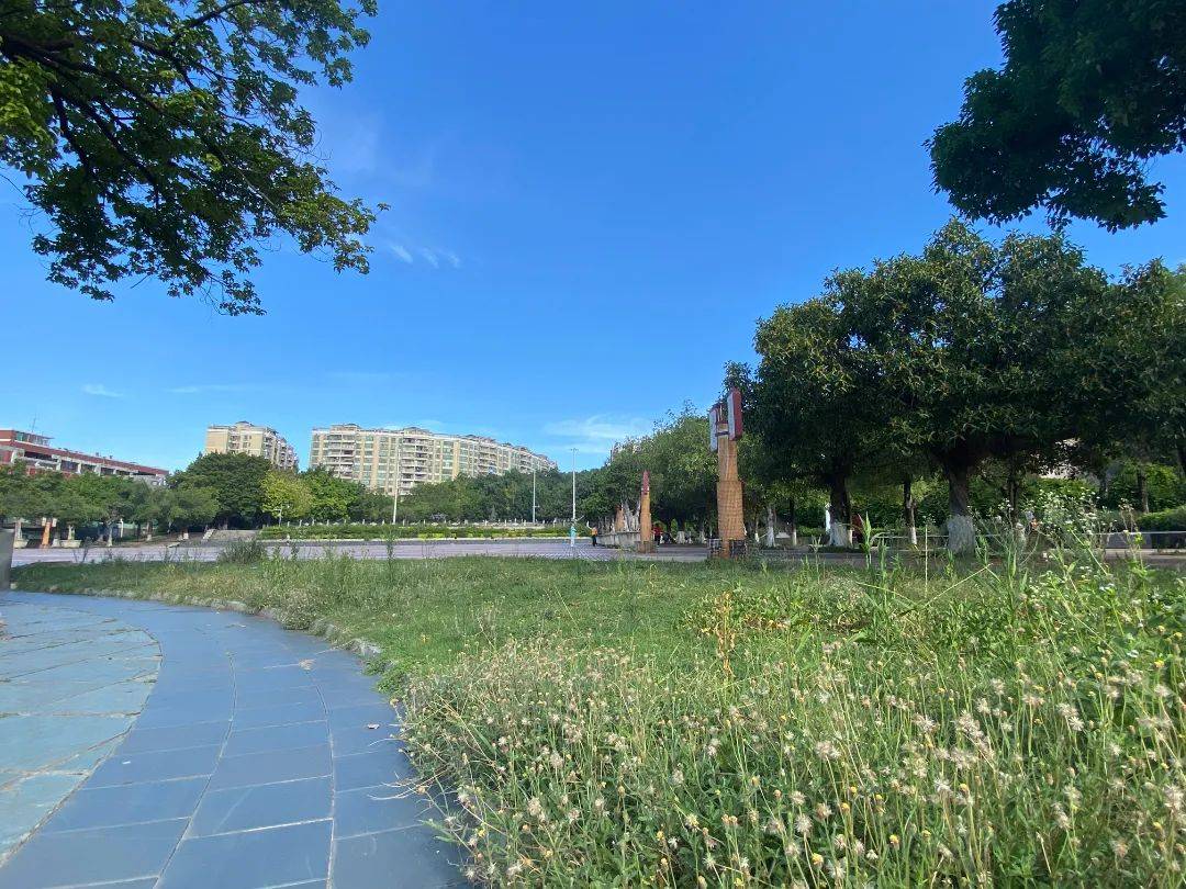 在增城试过了,"公园20分钟效应"是真的!