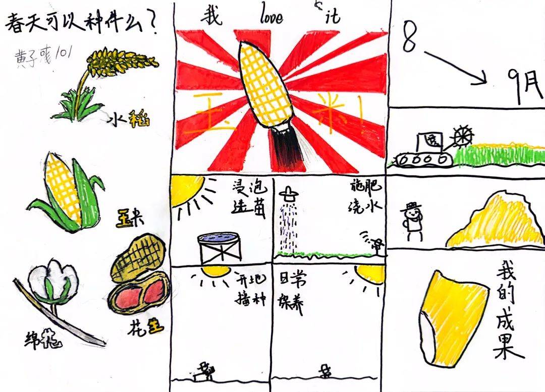 劳动实践|我和植物共成长——三明市实验小学一年级(1