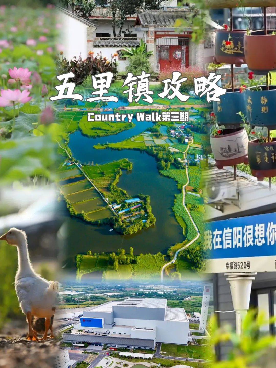 五里镇原名九店乡,位于信阳市平桥区东部,面积80