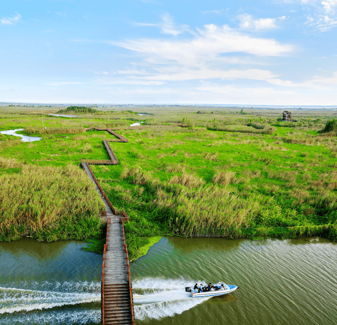 体验乡野宁静;随后,在国家5a级旅游景区泗洪洪泽湖湿地,看千顷湖水澄