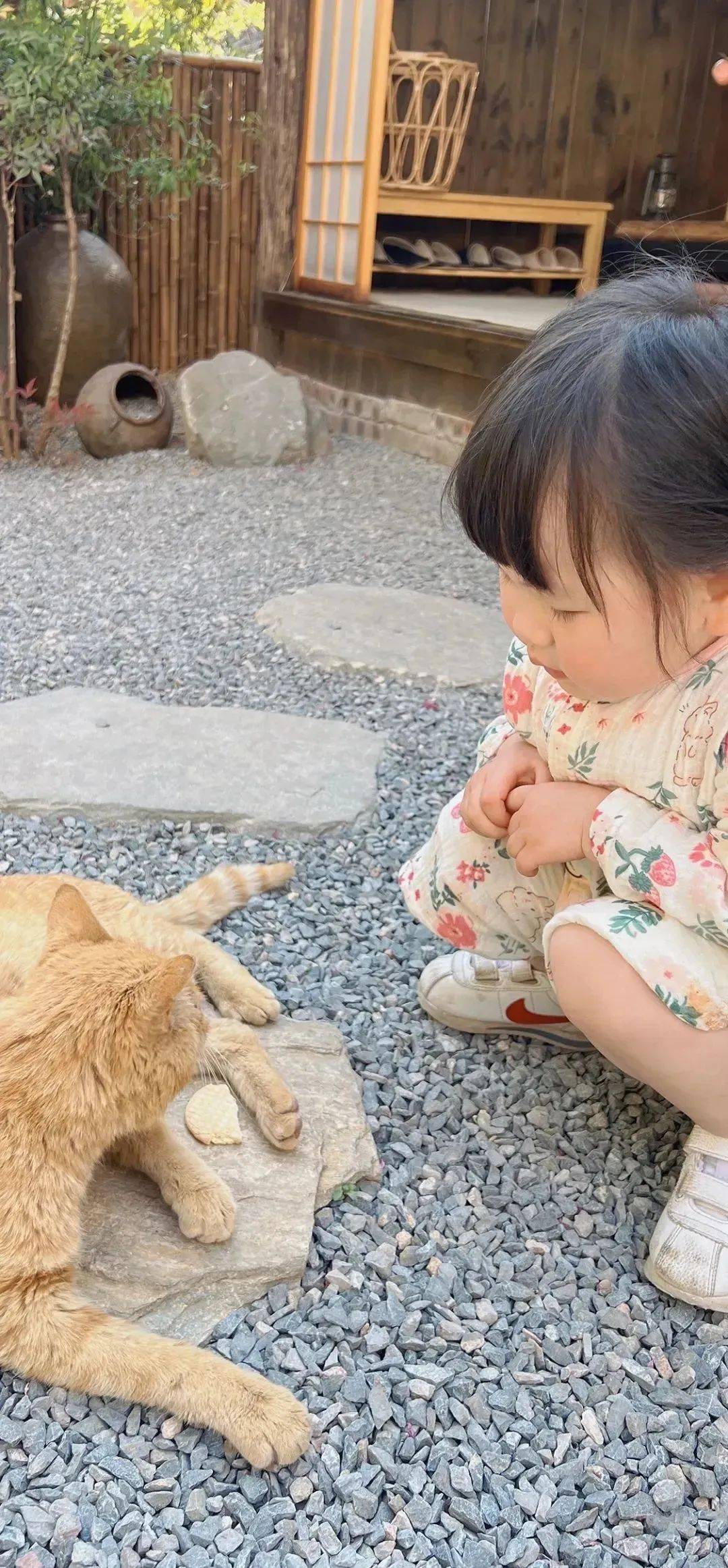 4k全新 | 全屏壁纸