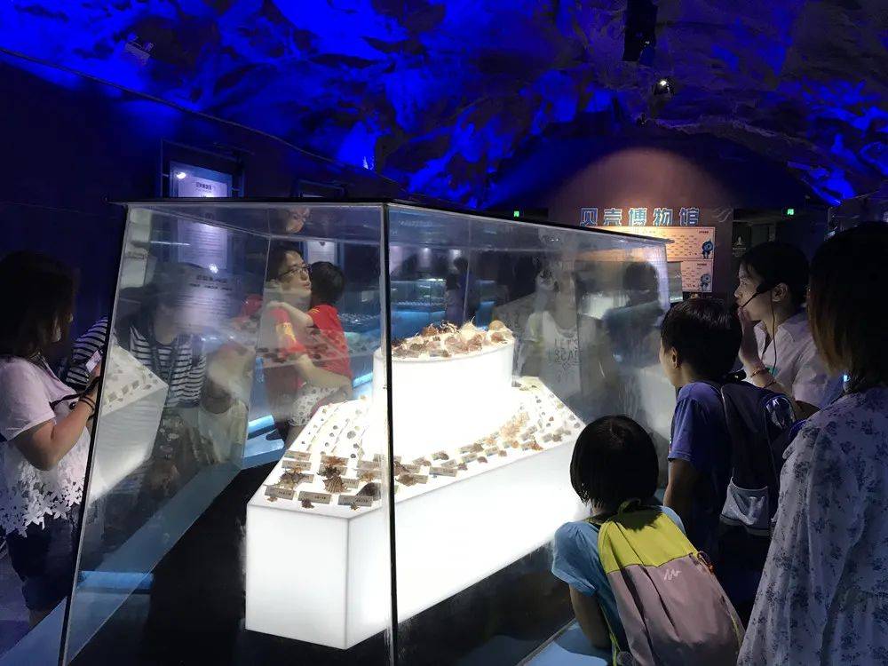 赏非遗"2024年"文化和自然遗产日"厦门市非遗宣传展示活动,在鼓浪屿全