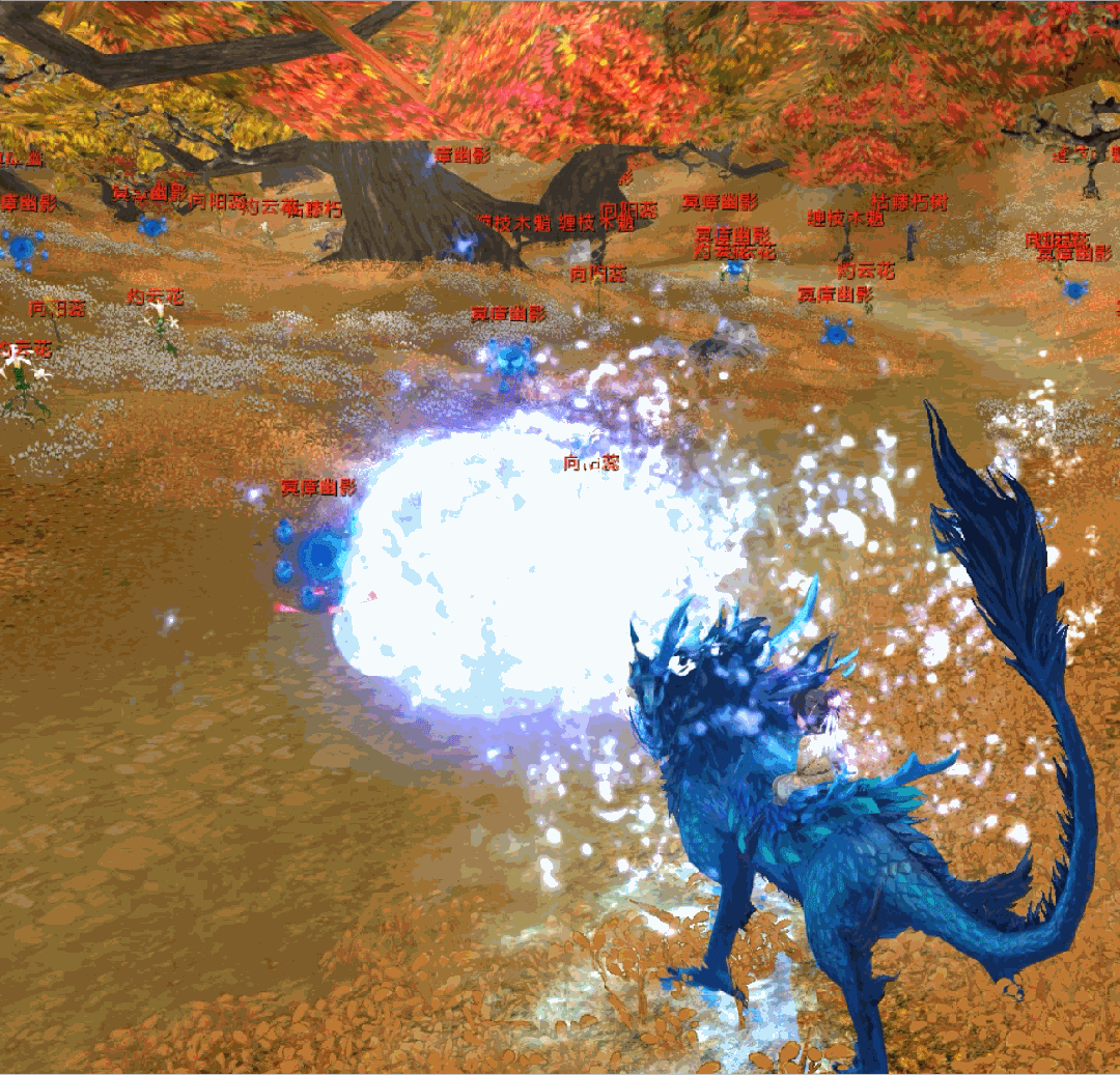 最新坐骑,外观,时装一览