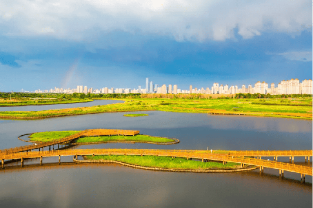 哈市这些端午踏青好去处,快收藏!