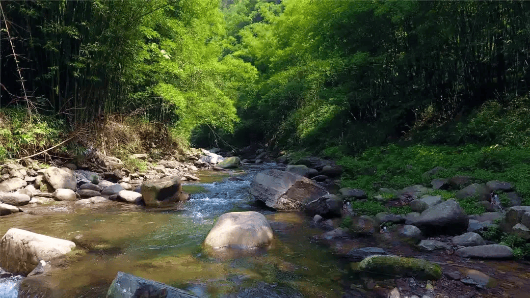 就冲这些美食美景,端午就值得来一趟筠连!