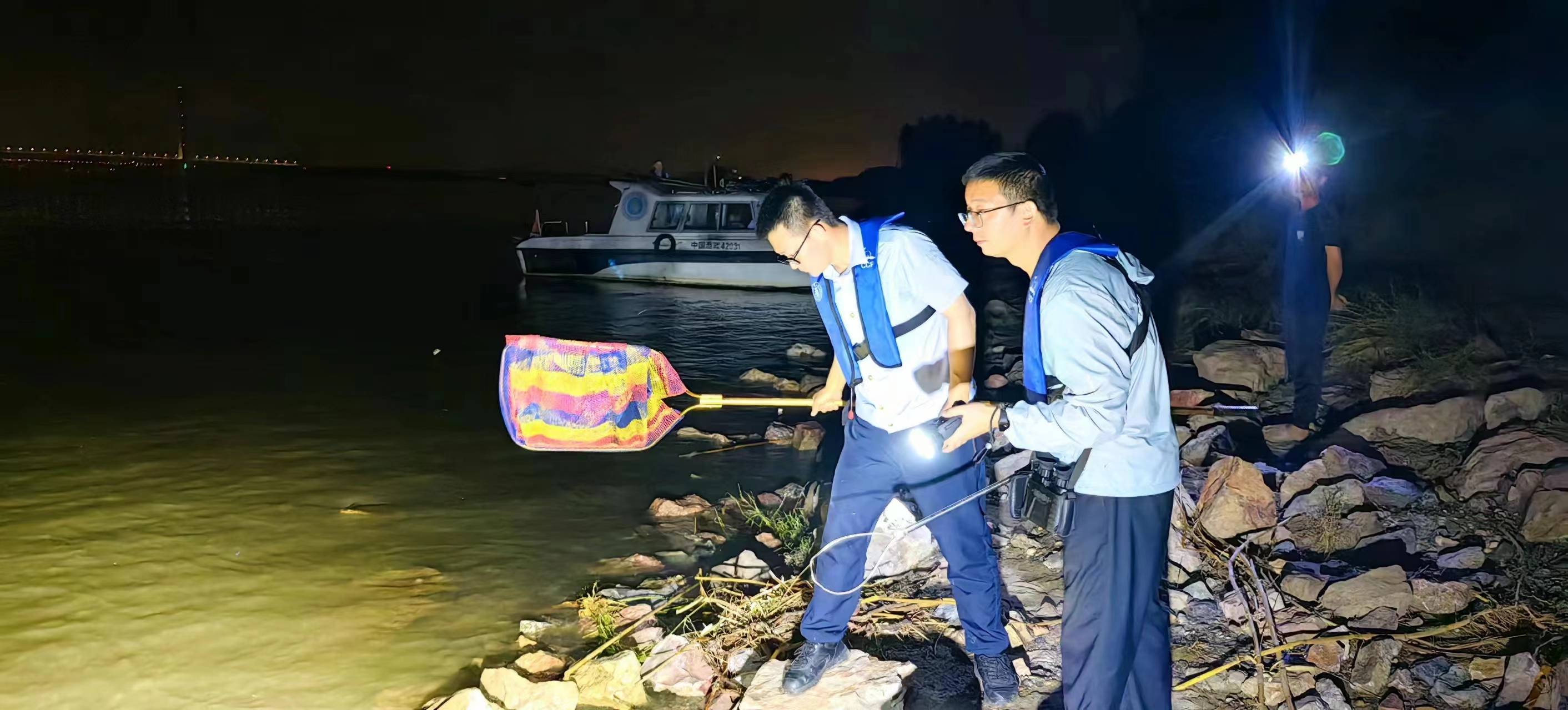 武汉江边发现暹罗鳄，官方：暂时发现两条已捕获一条，正持续搜寻