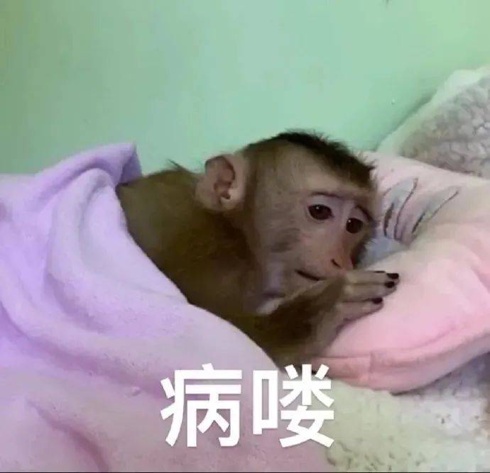 不太正经的表情包:说砍就砍