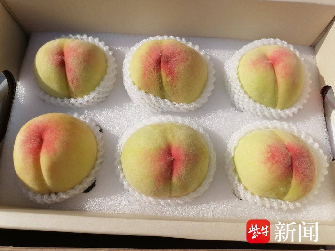 【视频】无锡阳山水蜜桃,今年用"无人机"来送货