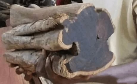 非洲黑木相思树(黑木黄檀) dalbergia melanoxylon3670磅(16,320 n)有