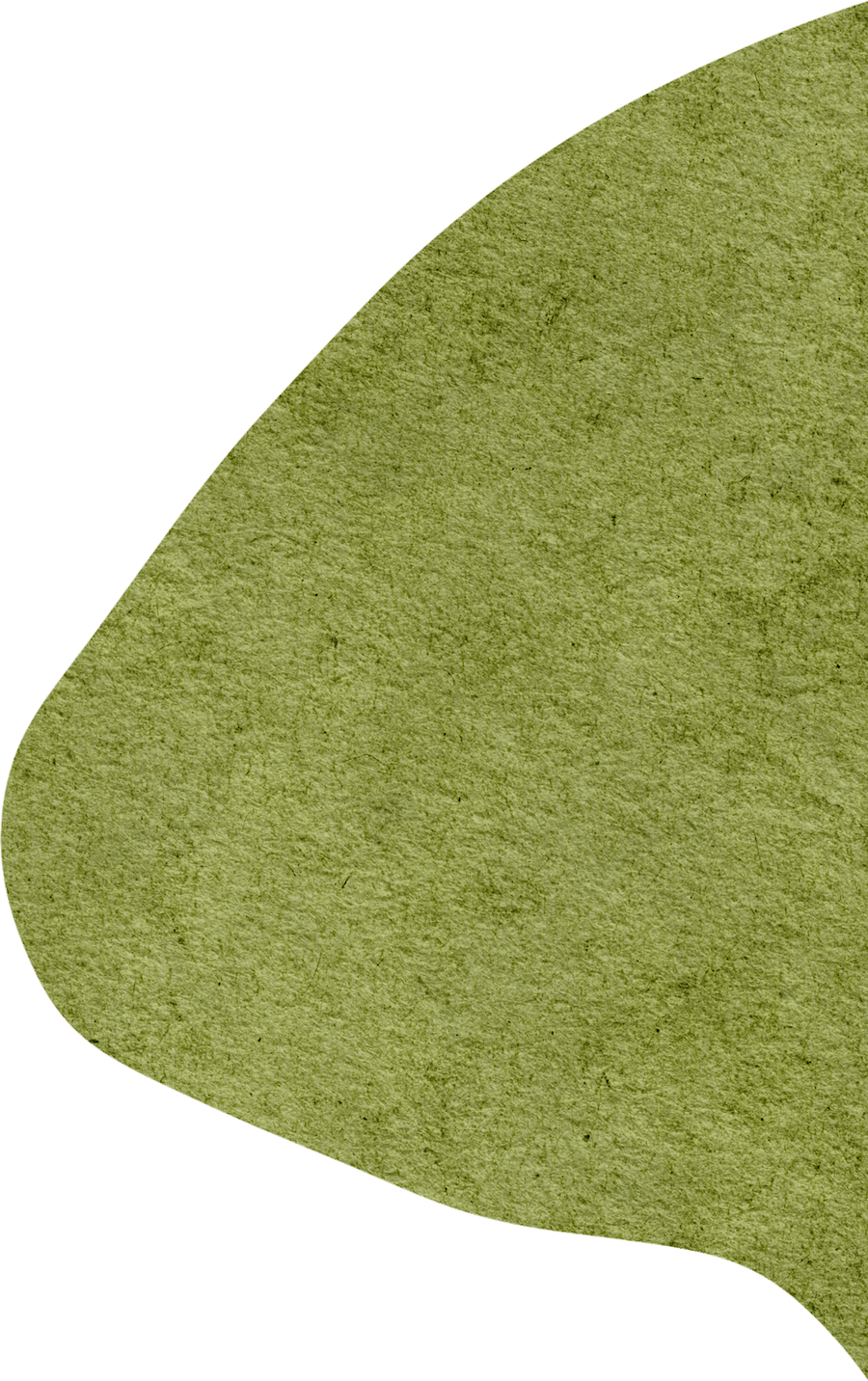 签发|毋文涛·审核|王 君·编辑|任 越·图文|赵豫莹·供稿|教育