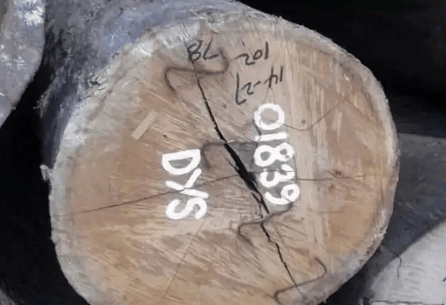 世上十种最硬的木材,你知道吗?