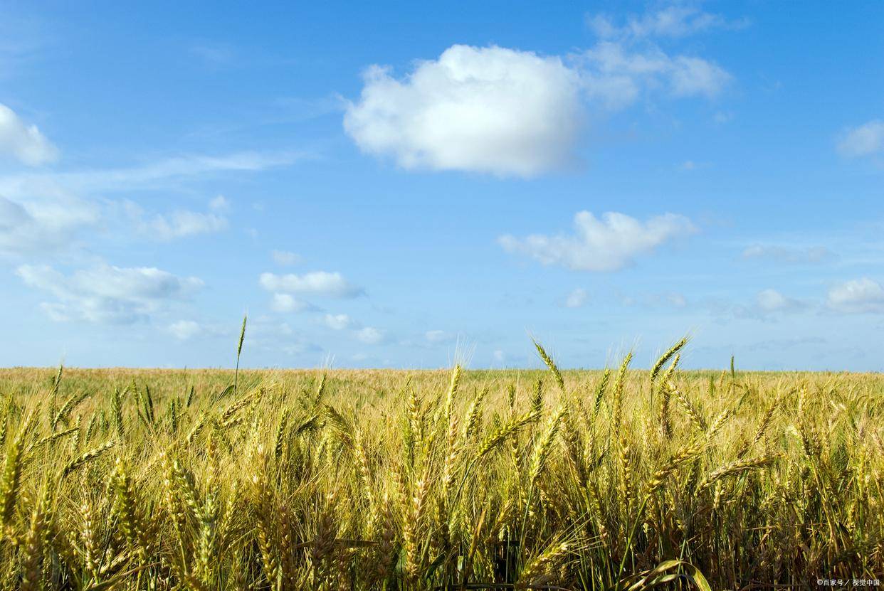 8首意境优美的诗词,一眼沉醉,惊艳千年