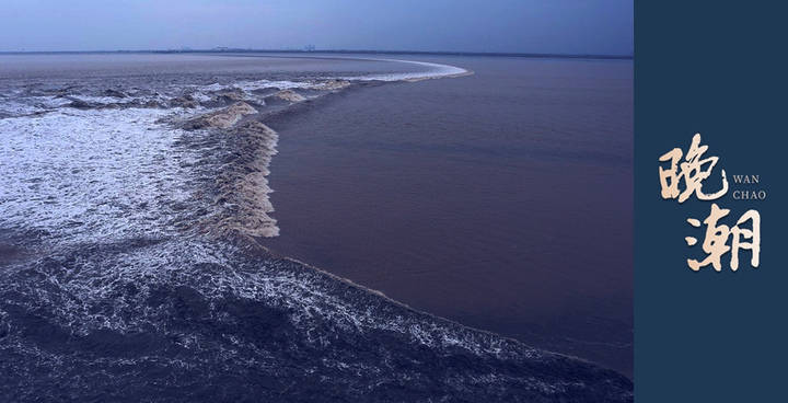 晚潮|苦瓜,红瓤,荔枝瓜及癞葡萄