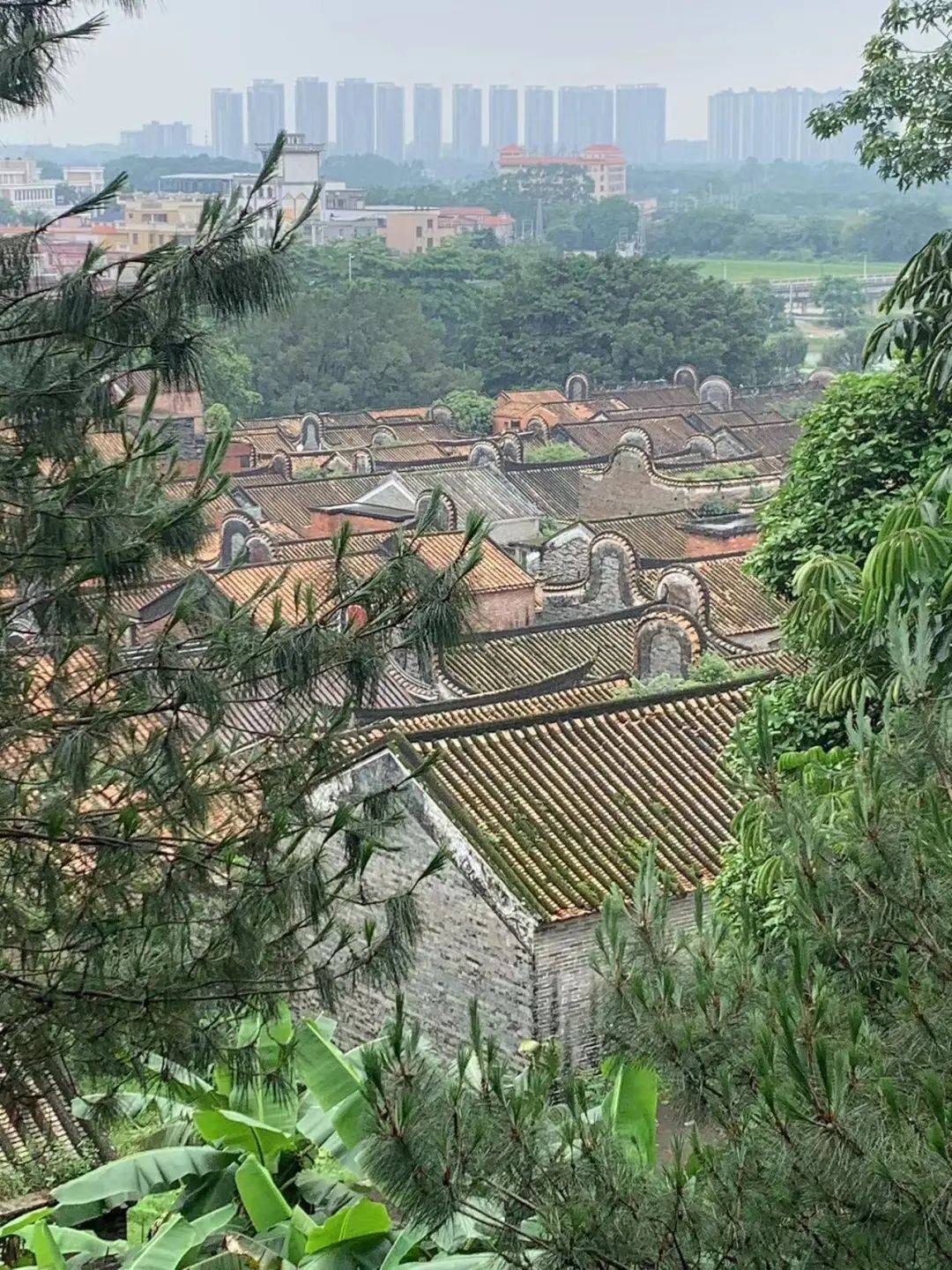 美景岐长丹青墨笔印记像影佛山市三水区北博德翰外国语学校致力于学生