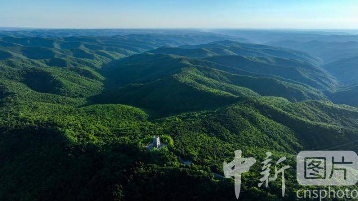 甘肃庆阳:苍翠子午岭