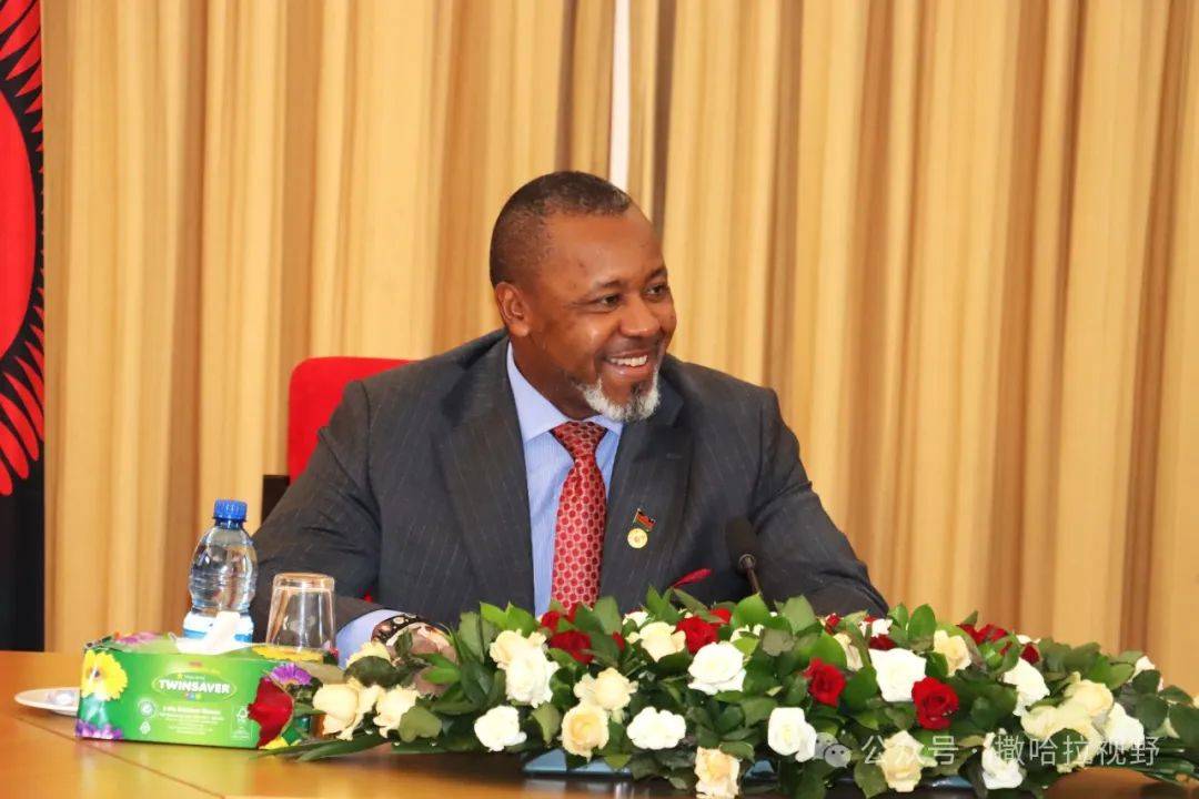 马拉维副总统所乘军机上人员全部遇难_洛斯·奇利马_查克维拉_新华社