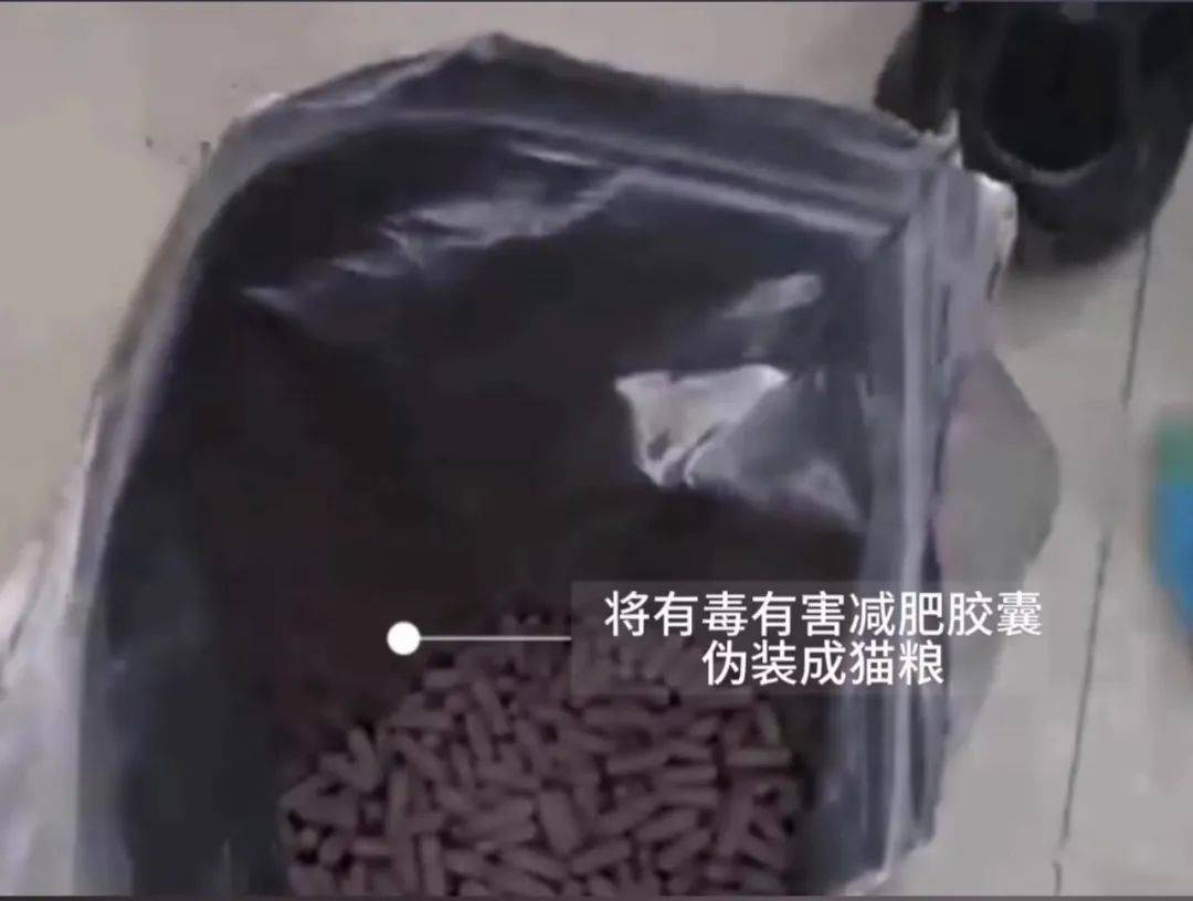 "减肥神药"装在猫粮袋里,呼和浩特警方破获一起生产