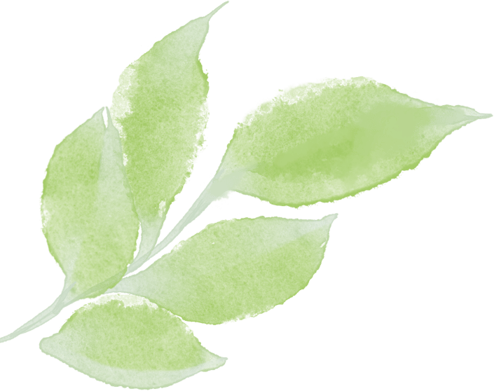 医学人文 | picc门诊的李阿姨