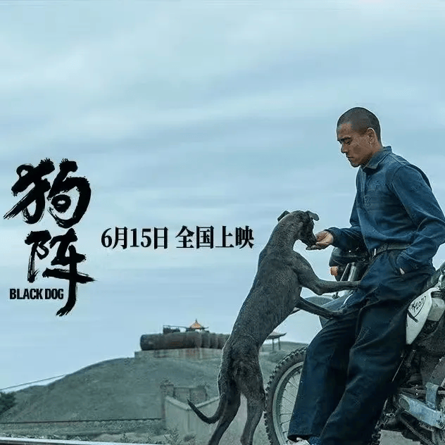 【明日点映】《狗阵》彭于晏与黑狗互相救赎"再上路"的生命力直击人心
