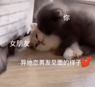脑子进水的表情包
