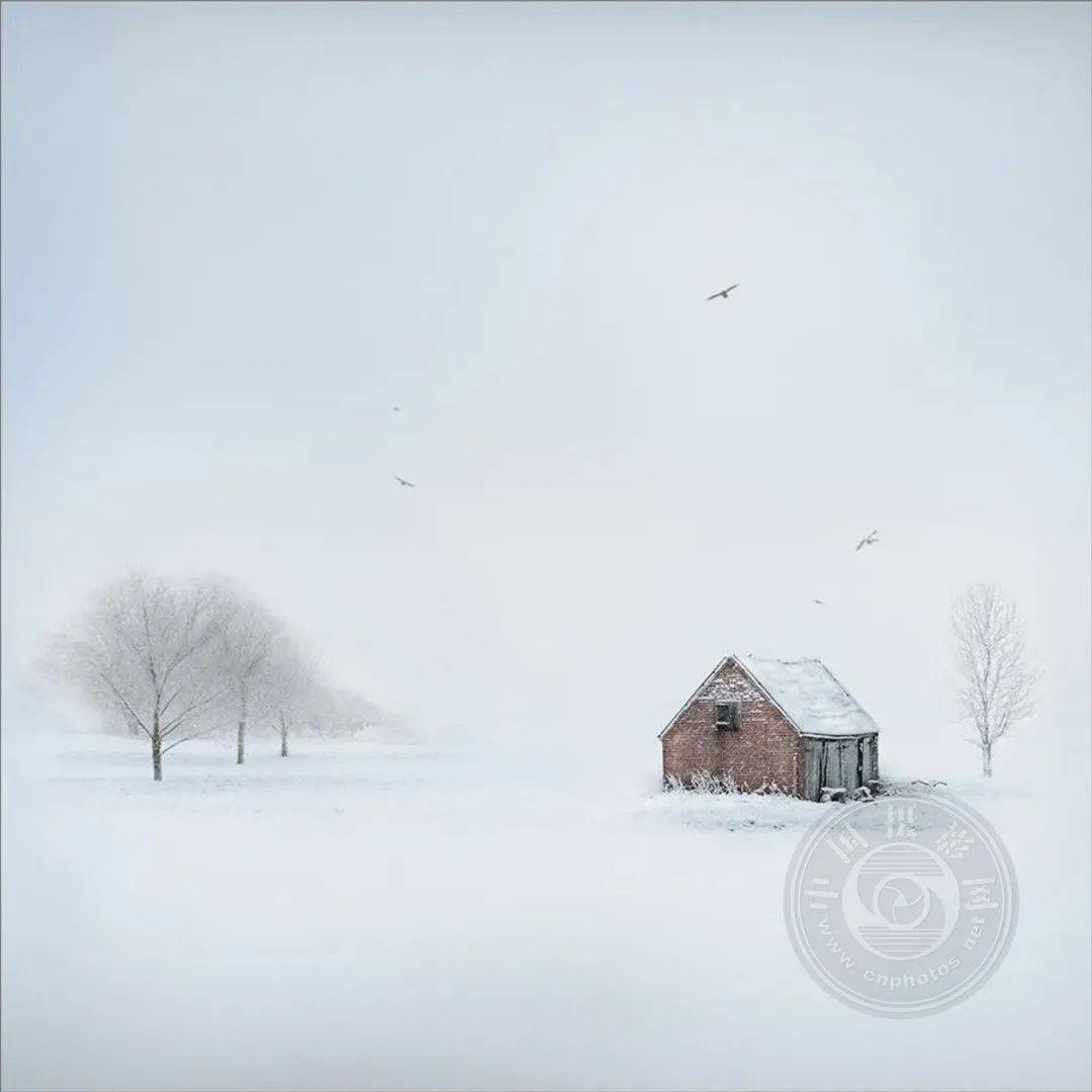 揭晓 | 2024年塞浦路斯国际摄影展(彩色组)获奖作品