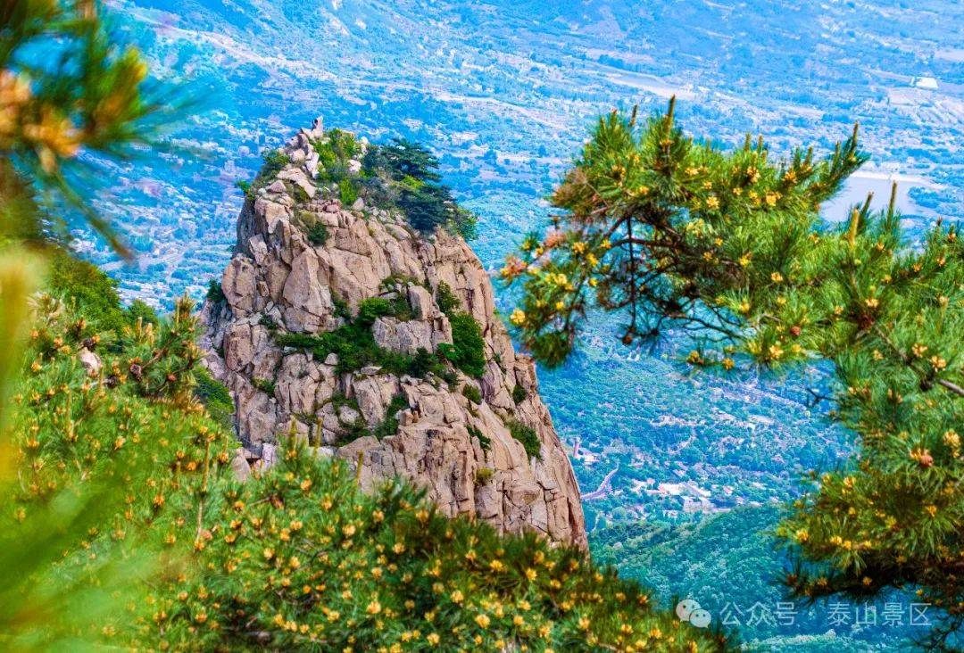 泰山夏意浓|邂逅夏日天烛峰的盎然野趣