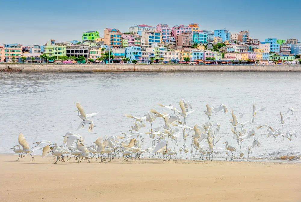 征集| "望海楼杯"中国(洞头)岛屿主题全国摄影作品展_温州_海岛_资格