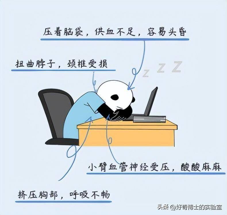 午睡时,怎么在最短的时间内睡到爽?