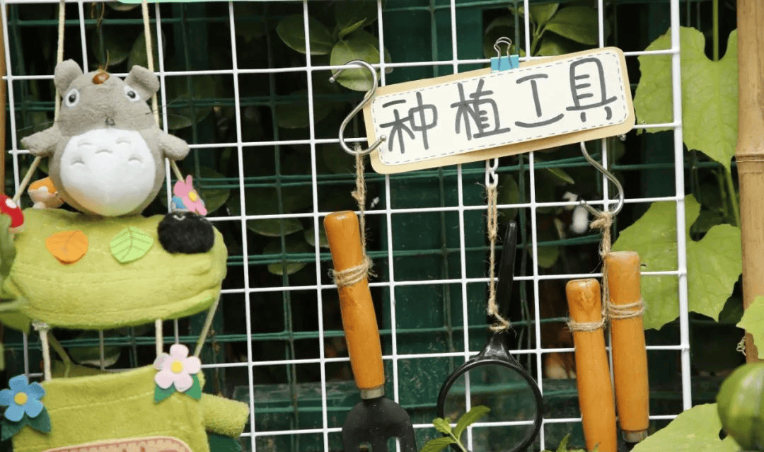 幼儿园夏季主题环创